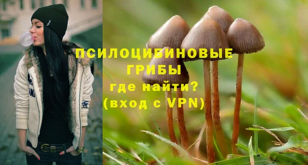 PSILOCYBIN Медногорск