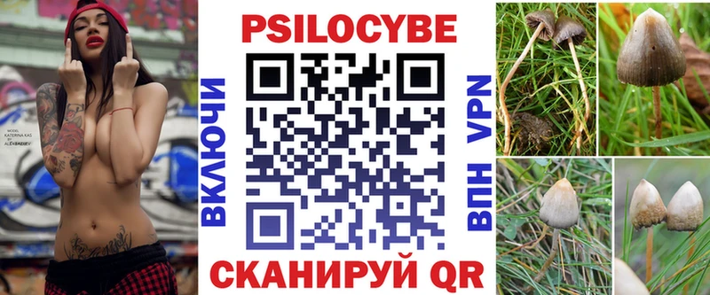 OMG как войти  Ак-Довурак  Псилоцибиновые грибы прущие грибы 